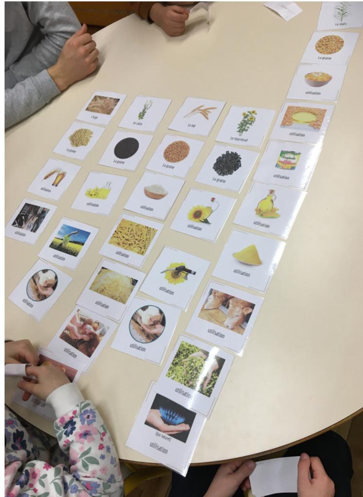 Parmi les ateliers proposés, un concernait la transformation des céréales.