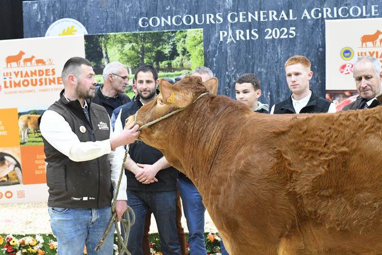 sodrene limousine sia vente aux enchères alexandre humeau