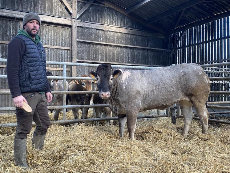 Raphaël Marquet et Titenoisette, génisse bazadaise de trois ans.
