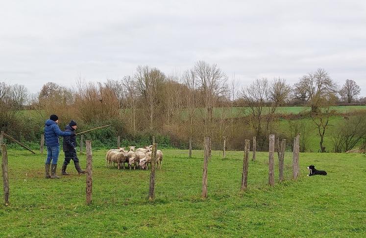 Echelonnée sur une durée totale d'environ cinq mois, la formation permet au chien et au maître de progresser à leur rythme et de devenir un véritable binôme de travail.