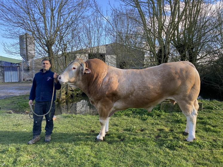 Guillaume Juillet et son taureau Royan, 4 ans, 1250 kg. Le troupeau compte 65 vêlages, une SAU de 130 ha, pour 90 ha de SFP en pâturage tournant.