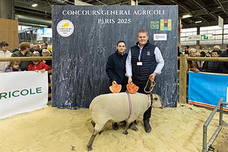 L'EARL Sibel Vendéènnes (Saint-Maurice-la-Clouère) a décroché le prix de championnat jeunes béliers.