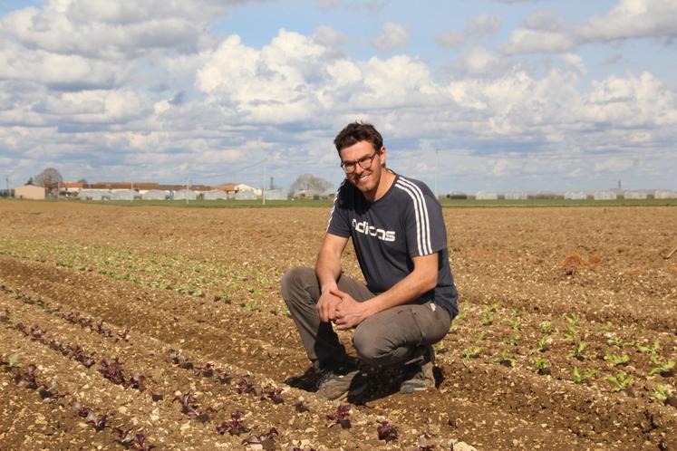 Alexandre Usson cultive ses légumes sur 7 hectares dont 8000m2 de serres.