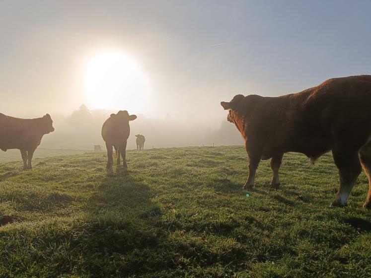 photo de maxime griroux concours eliance 3e prix