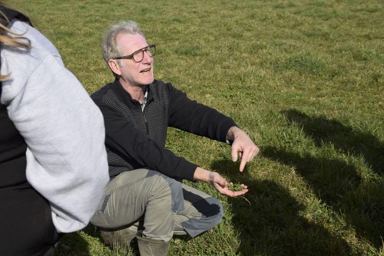 L'ingénieur agronome évalue la qualité de l'herbe dans les prairies.