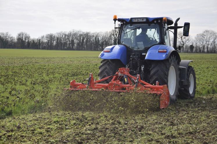 La fraise Sicma scalpe 100 % du couvert. A priori, c'est l'outil qui répond le mieux aux besoins de Laurent Rousseau.