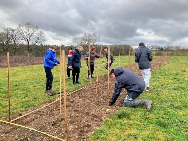 À Valdivienne, les jeunes de l'Accueil intercommunal ont planté 188 plants derrière l'école.