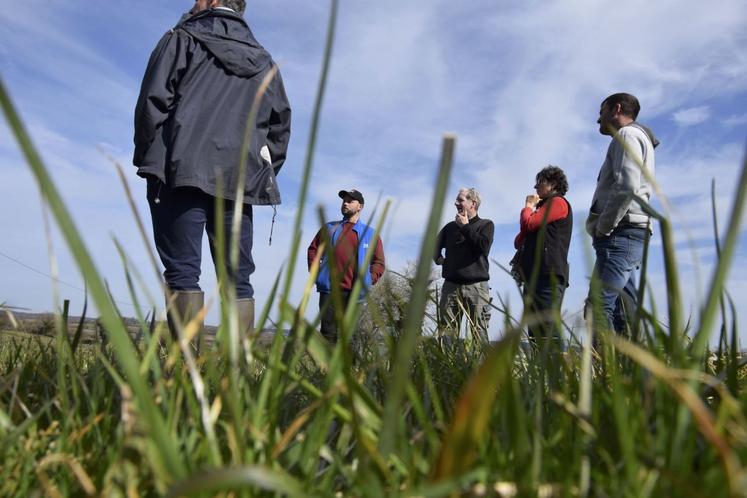 Xavier Barat, ingénieur agronome, a fait le tour des parcelles des éleveurs pour les aider à optimiser leurs pratiques de pâturage tournant dynamique.