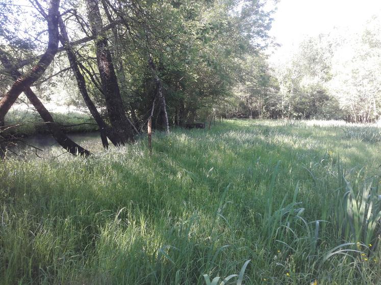 Ces MAEC peuvent concerner des parcelles adjacentes des cours d'eau ou plus éloignées dans le bassin versant.