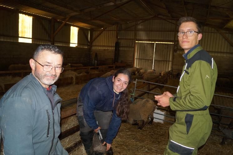 Patrick Soury (à gauche) forme Clarisse Rossignol et Valentin Saulnier, ses apprentis, au marquage des agneaux, dans la bergerie.