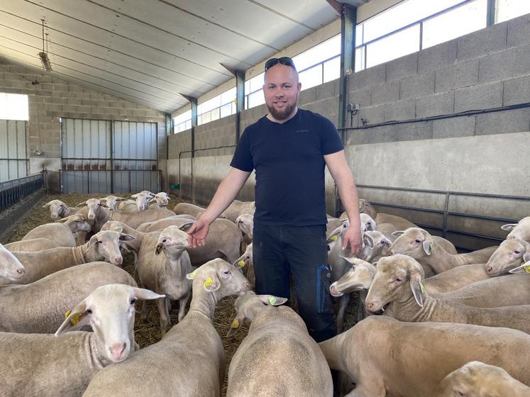Thomas Baudry, entouré de ses agnelles. L'éleveur estime avoir atteint son objectif de réduction du temps d'astreinte.