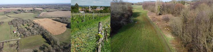 Les trois initiatives arrivées en tête du concours : la parcelle de miscanthus de Cédric Seguin, les couverts végétaux de Francis Charrier et les prairies d'Alain Bidouard.