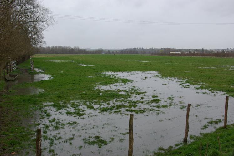 Les prairies ont souffert d'un excès d'eau en 2024.