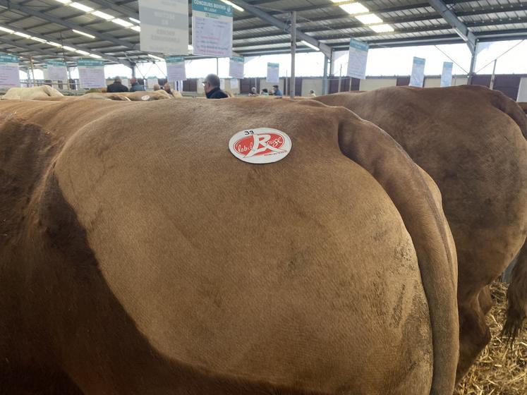 Chapeautant les concours nationaux de boucherie, Interbev a demandé la création de prix spéciaux pour les signes de qualité.