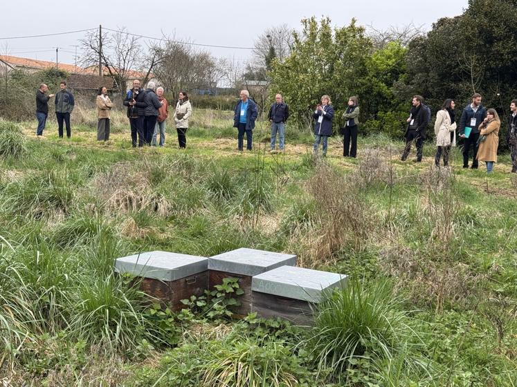 La priorité est de créer à la fois des zones tampon pour filtrer l'eau mais également de maintenir des activités productives. Les terres arables sont reconverties vers d'autres activités. Ici, près de la station, c'est un apiculteur qui a installé des ruches.
