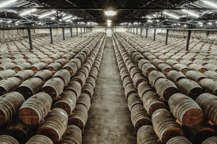 Trop de stock dans les chais de cognac. Les maisons de cognac se voient contraintes de réduire les achats à la viticulture.