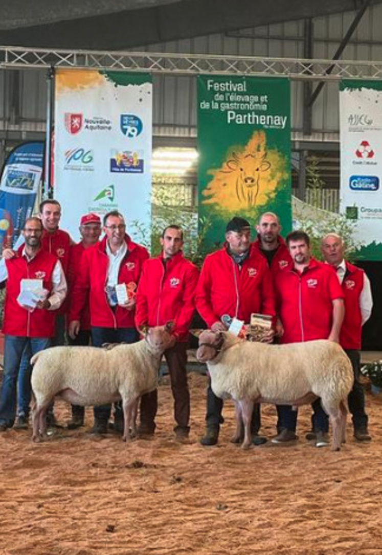 Le festival de l'élevage et de la gastronomie se tiendra du du 19 au 21 septembre.