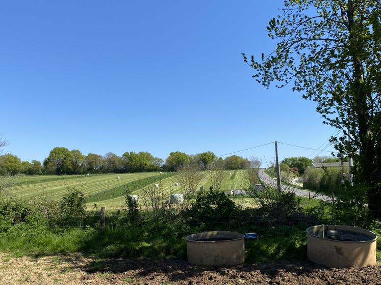 Dans les prairies du lycée agricole de Melle, des différences de couleur correspondant aux plantations de doubles haies intraparcellaires, dont les arbres sont en quinconce.