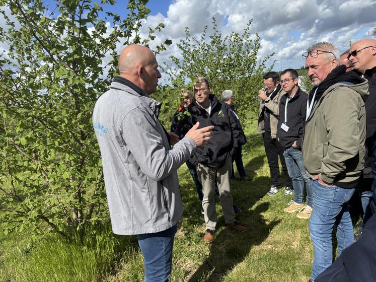 Christian Bonnin a fait visiter sa plantation de noisetiers aux acheteurs de la plateforme Agrilocal.