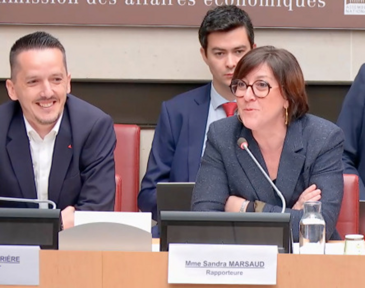 A droite, la députée Sandra Marsaud (Ensemble pour la République) aux côtés du député La France Insoumise Sylvain Carrière, de l'Hérault, lors de la remise de leur rapport sur la mission d'information sur les stratégies de marché de la filière vitivinicole.