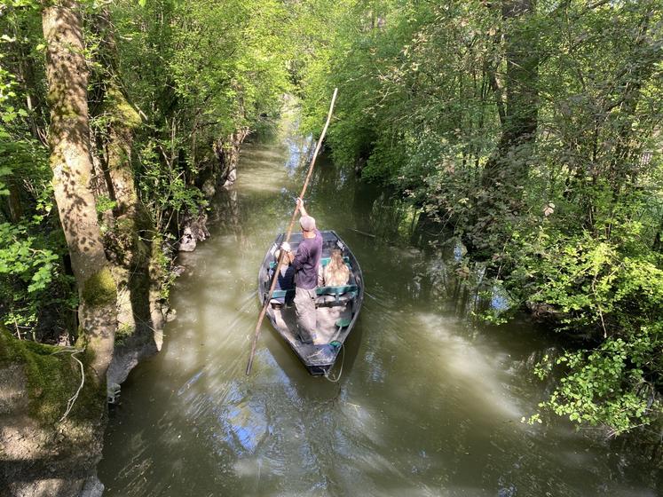 Les barques partant de l'embarcadère voisin empruntent un canal passant au milieu du parc ornithologique.