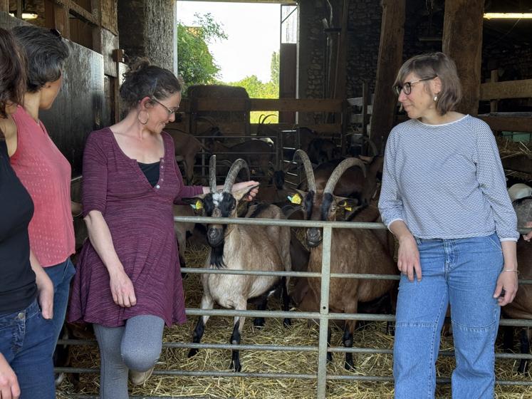 Au Jard'in des Chèvres à Vouzan ouvrira ses portes aux porteurs de projets le 3 juin. Pour plus d'information : richard88helene@gmail.com. Inscription obligatoire jusqu'au 1er juin sur terredeliens.org ou en scannant le QR code ci-dessous.