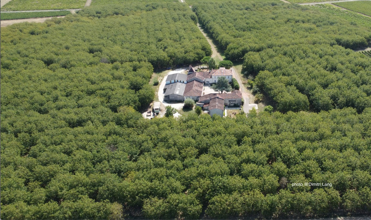 Située à Louzac-Saint-André, la Noyeraie des Borderies cultive 20 hectares de noyers en bio.
