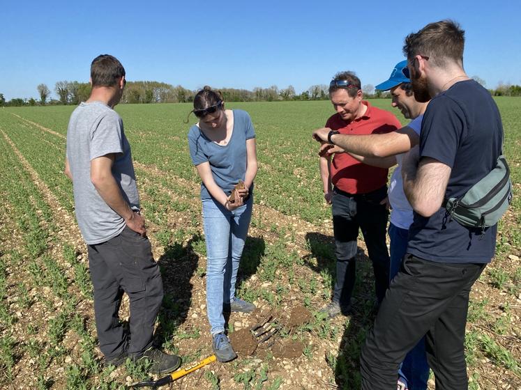 Au centre, Astrid Cassaz fait observer les nodosités présentes dans une motte d'un champ de pois fourrager.
