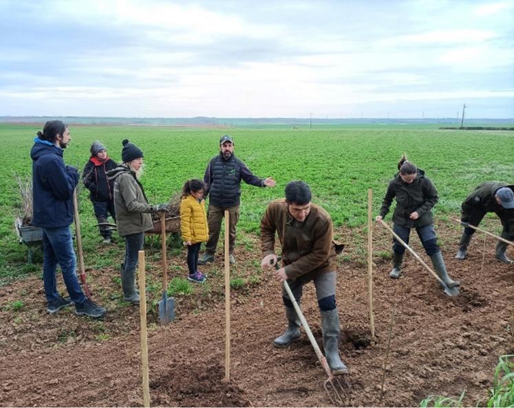 Ils étaient une quinzaine de bénévoles ce vendredi matin pour permettre la mise en terre de 867 plants pour un total de 650 mètres linéaires de haies
