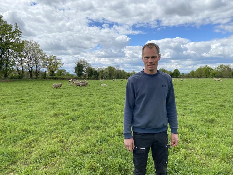 Damien Breton fait fréquemment le tour des paddocks de pâturage, à la recherche d'indices des passages de renard. Il pose ainsi ses pièges aux endroits repérés.