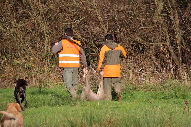 Chasse au chevreuil.