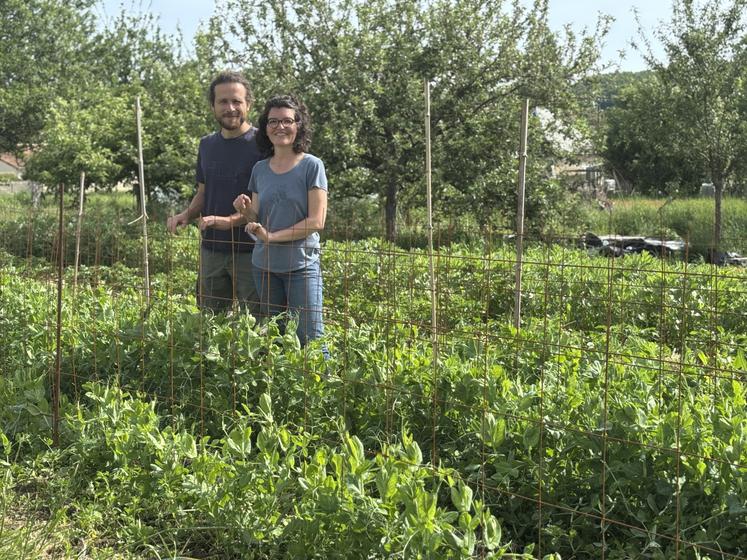 Caroline Lelièvre et Rémy Durand exploitent actuellement 3 500 m2 de terres en maraîchage.