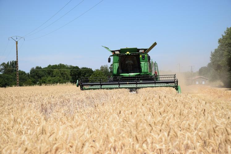 Les moissons se font plus tôt et sous un soleil écrasant.