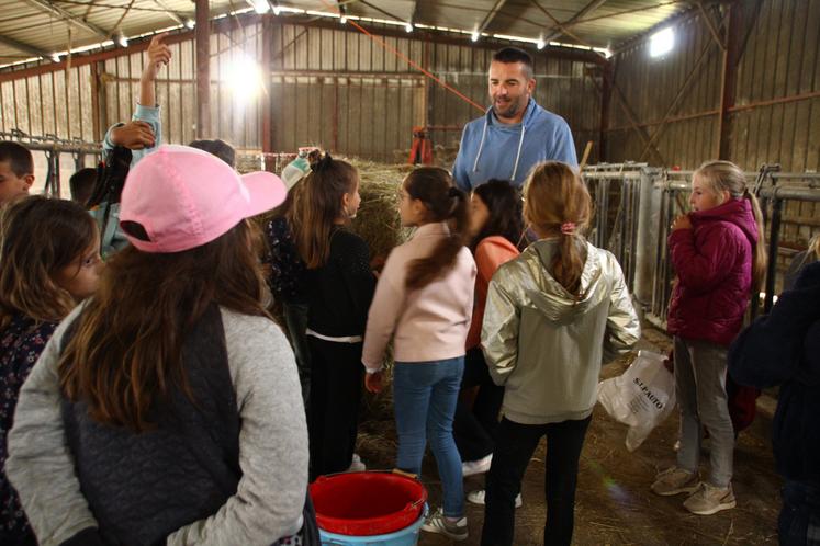 Une visite d'un élevage de Charolaises à Archigny, à l'EARL Les Belles des Prés.