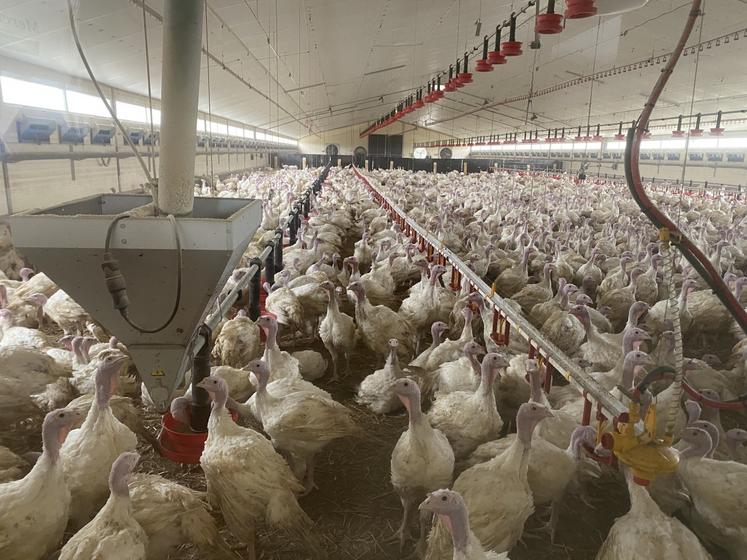 La société Skov a tenu compte des différents vides sanitaires et de la succession de production pour estimer au plus près les besoins en énergie du bâtiment de 1 340 m2.