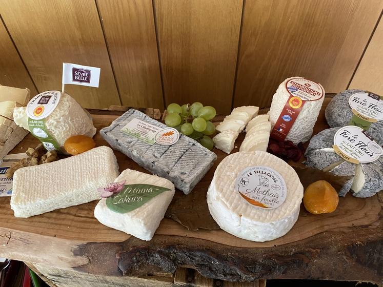 Quelques-uns des fromages deux-sévriens primés au CGA 2025.