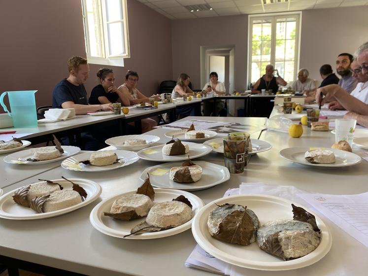 Le 10 juin marquait l'une des premières commissions de dégustation du fromage, une obligation dans le cadre de l'AOC.