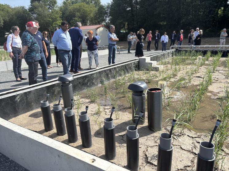 La station de Persac repose sur la double action de roseaux implantés dans des milieux granulaires et d'air pulsé.