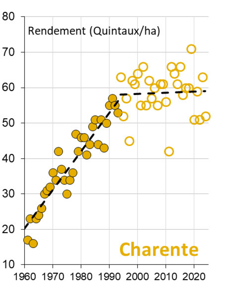 En Charente comme partout en Nouvelle-Aquitaine, le rendement en blé tendre plafonne depuis les années 1990 à cause de la multiplication des jours chauds en fin de cycle. Rendement moyen départemental en blé tendre.