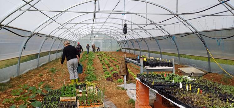 Parmi les actions de VMS, il y a notamment un jardin solidaire.