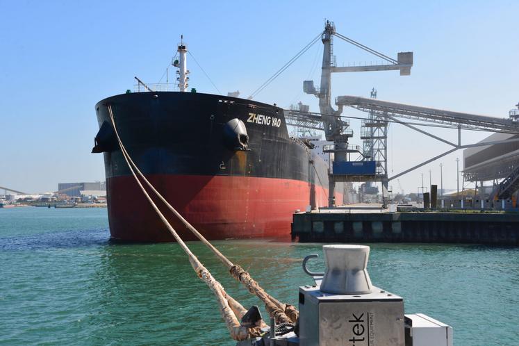 Parmi les marchés vers lesquels peu d'expéditions ont eu lieu depuis La Pallice, l'Asie et plus particulièrement la Chine, qui avait pu être très présente sur certaines campagnes antérieures.