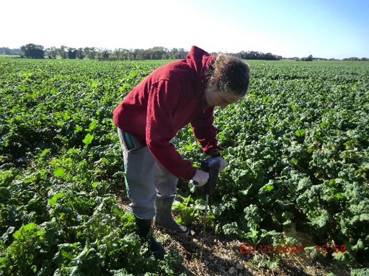 Avant d'apporter du fertilisant, il est primordial d'étudier son sol.