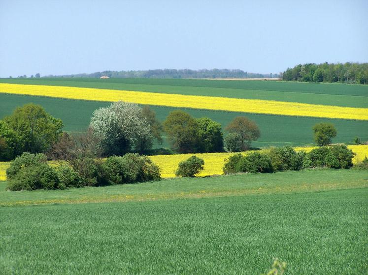 La hausse des prix des terres et prés libres est plus marquée dans les zones d'élevage bovin, dans un contexte de prix à la production favorables.
