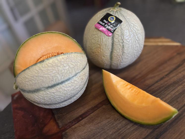 Les melons du Haut Poitou ont une quinzaine de jours d'avance.
