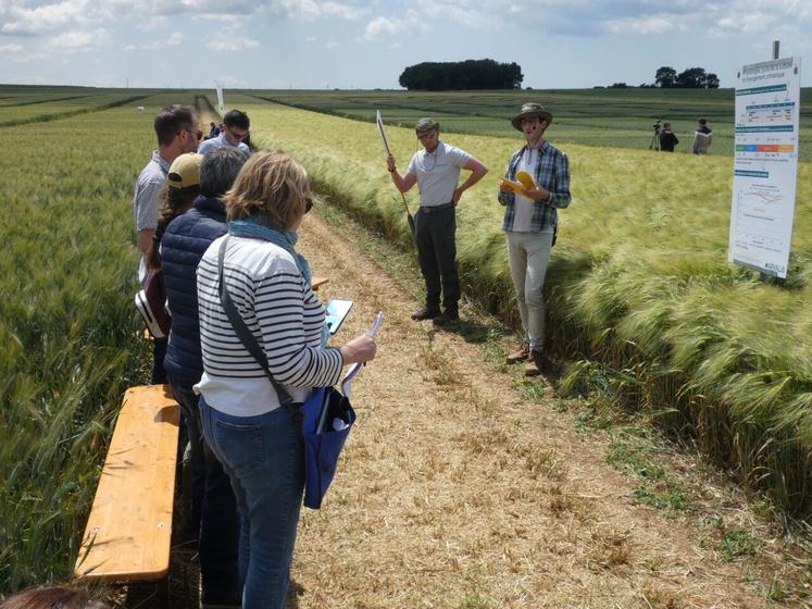 Parmi les ateliers, celui sur l'adaptation des techniques de culture, présenté par Clément Gras, où l'accent était mis sur les risques d'un semis trop dense.