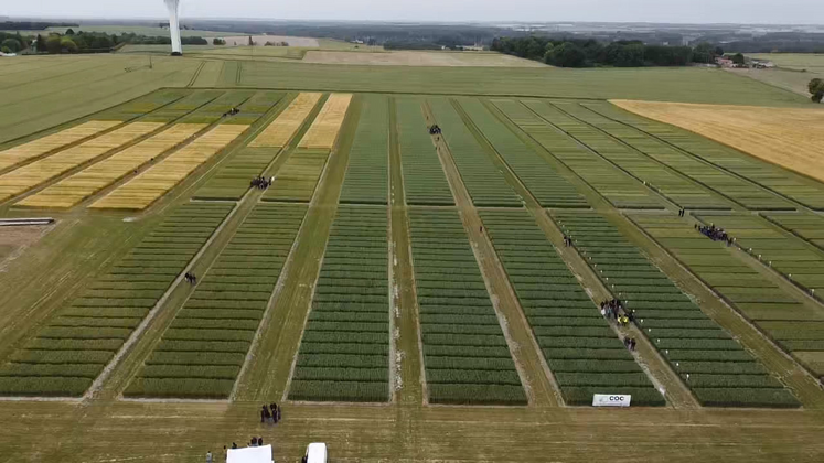 Pas moins de 14 hectares d'essais étaient proposés à Léméré.