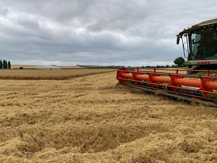 Des rendements plutôt bons, mais comme souvent, derrière la moyenne se cache une forte hétérogénéité de résultats.