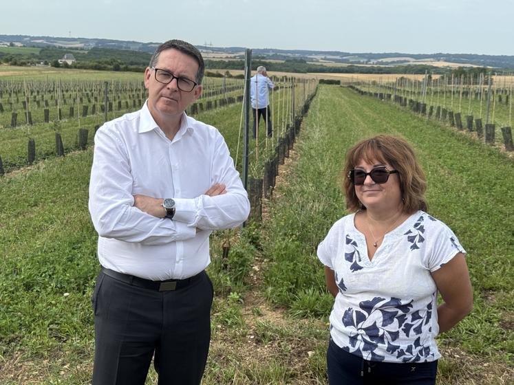Le préfet et Laëtitia Plumat devant les 2 hectares d'oliviers plantés à Fouquebrune.