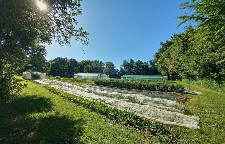 À côté du gîte, les jardins de Lauthiers c'est 3 000 m2 de cultures maraîchères en vente directe.