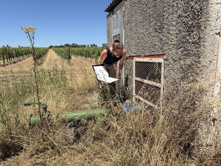 Responsable de la gestion quantitative de l'eau, Sarah Aubert est inspectrice environnementale pour la police de l'eau à la DDT.